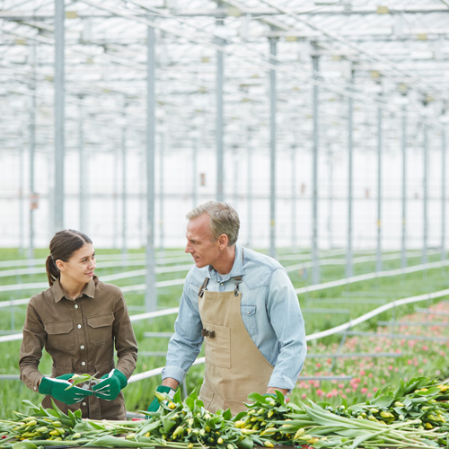greenhouse workers